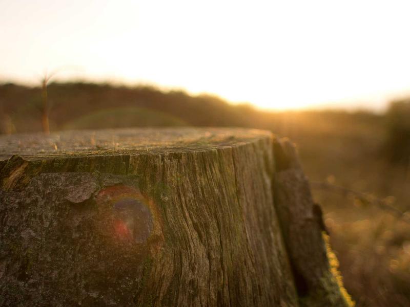 community screenshot 3